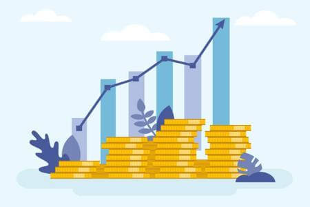 Investor Journey